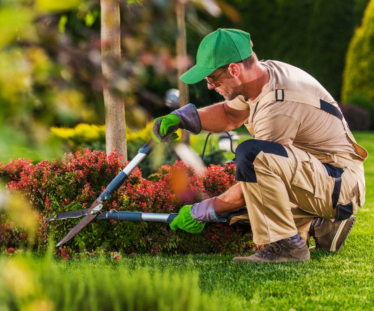 NDIS Gardening Services